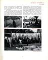 19510000 RALLI BROTHERS LIMITED 25